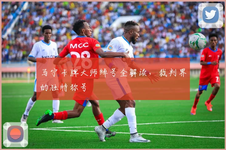 马宁卡牌大师绰号全解读，裁判界的独特称号
