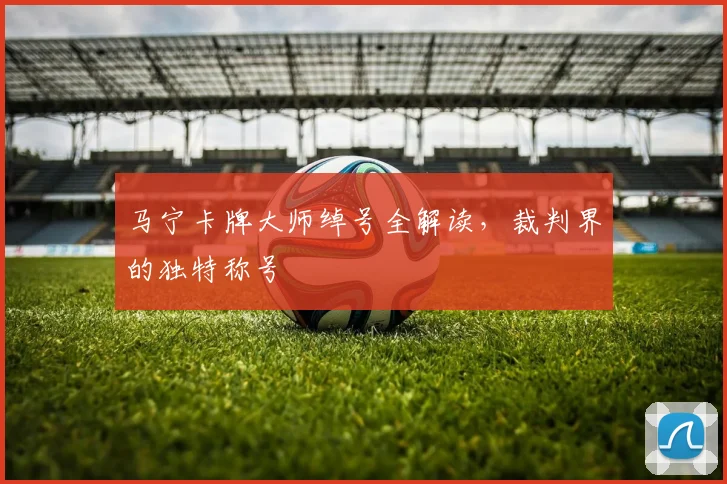 马宁卡牌大师绰号全解读，裁判界的独特称号